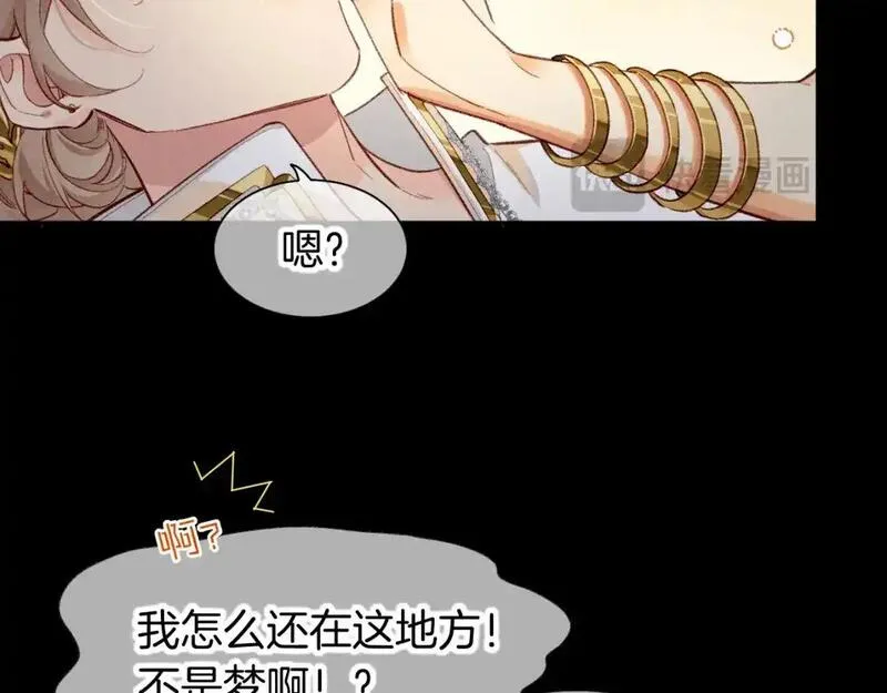 再见，我的国王漫画,第62话 瞒天过海116图