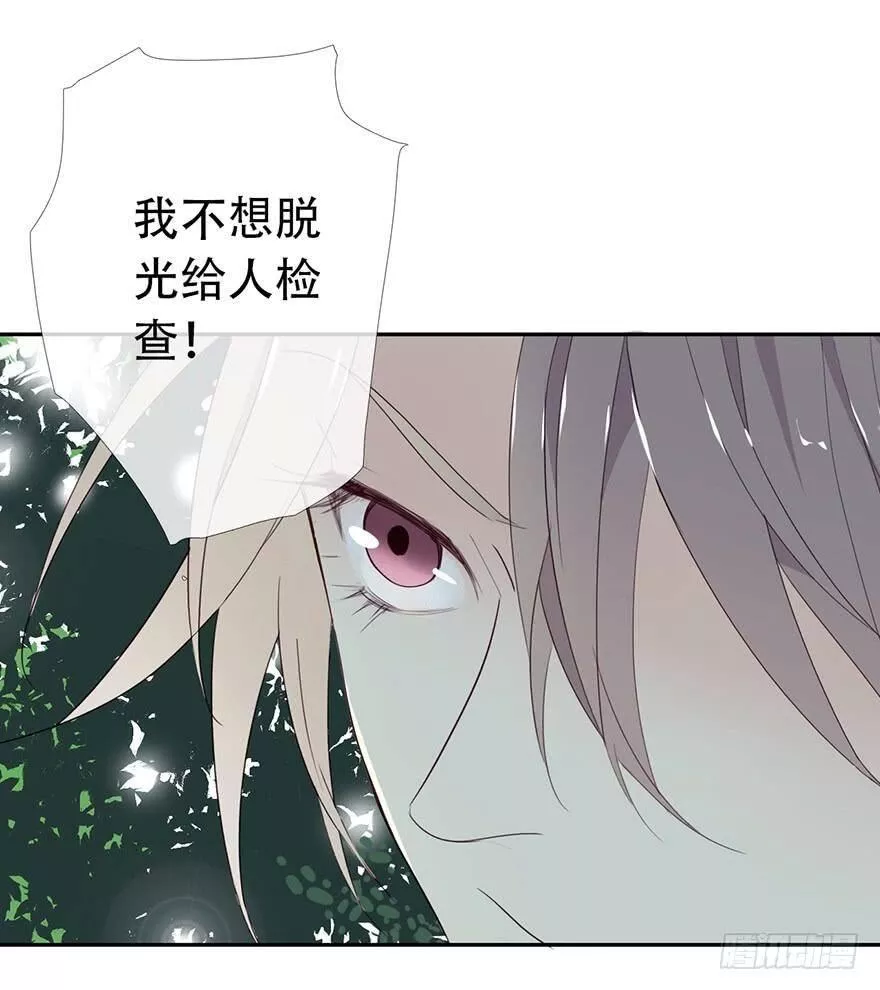 曲折离奇漫画,第十二回：窥探19图