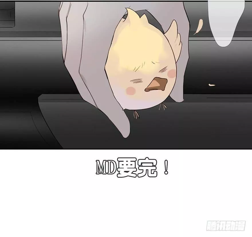 曲折坎坷漫画,第二十三回：撞脸13图