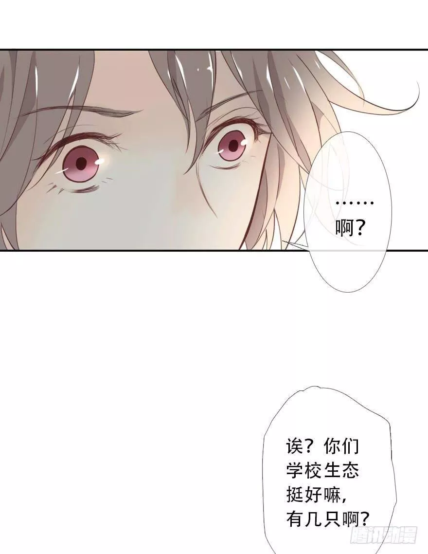 曲折少年漫画41漫画,第二十五回：过敏9图