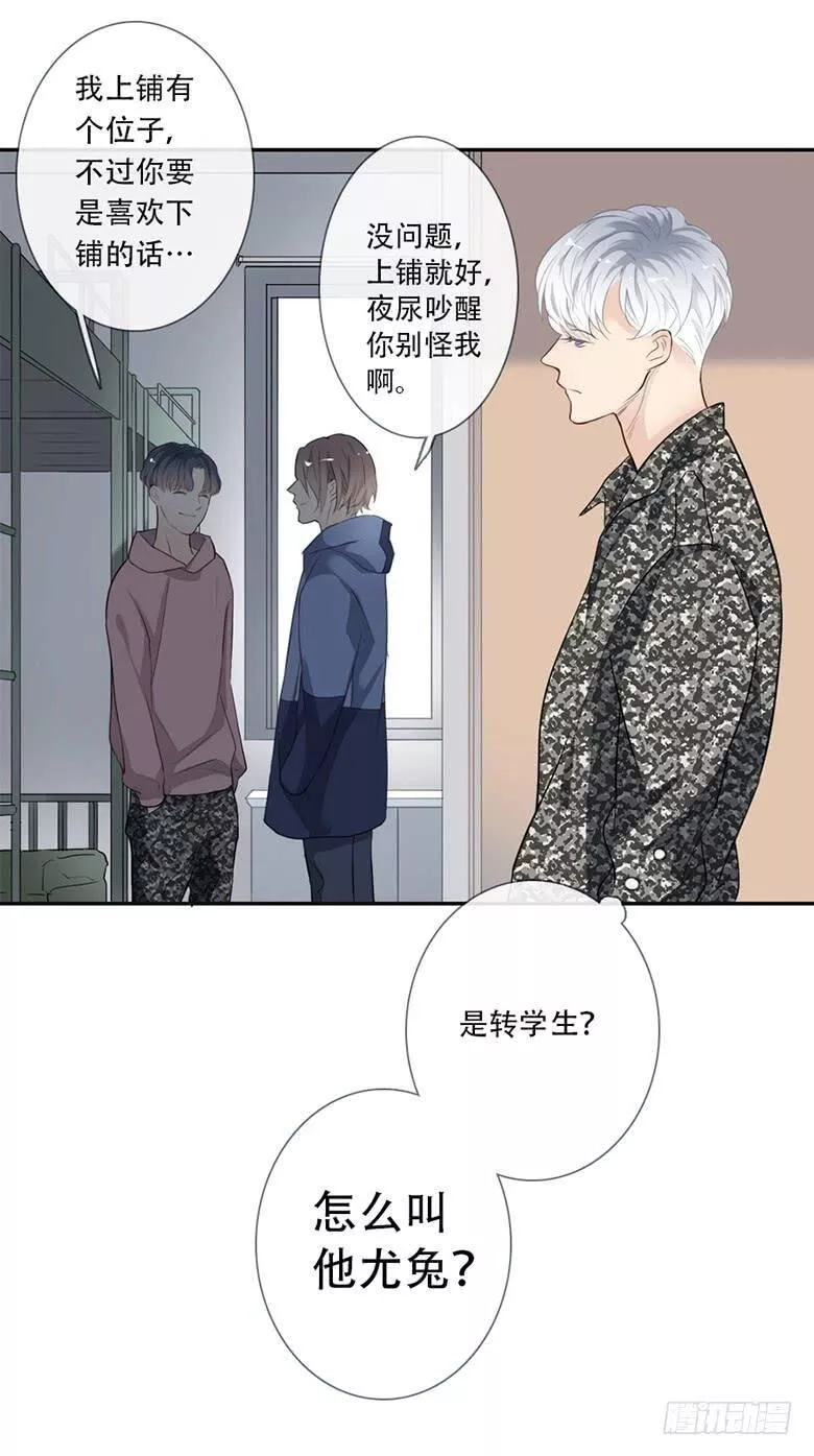 曲折的路漫画,特别篇：没有尾巴的兔子35图