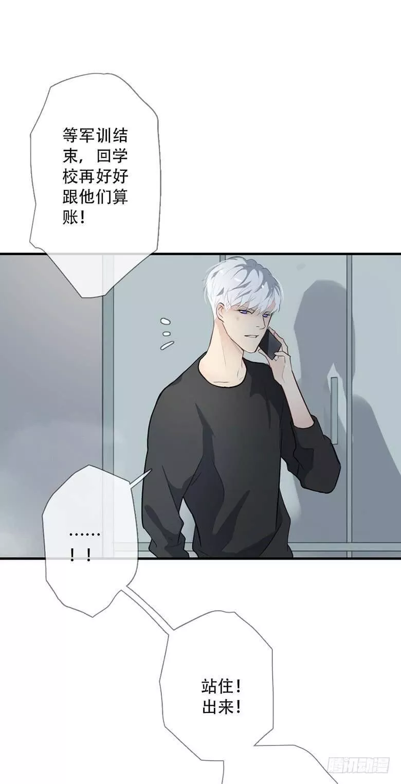 曲折的路漫画,特别篇：没有尾巴的兔子62图