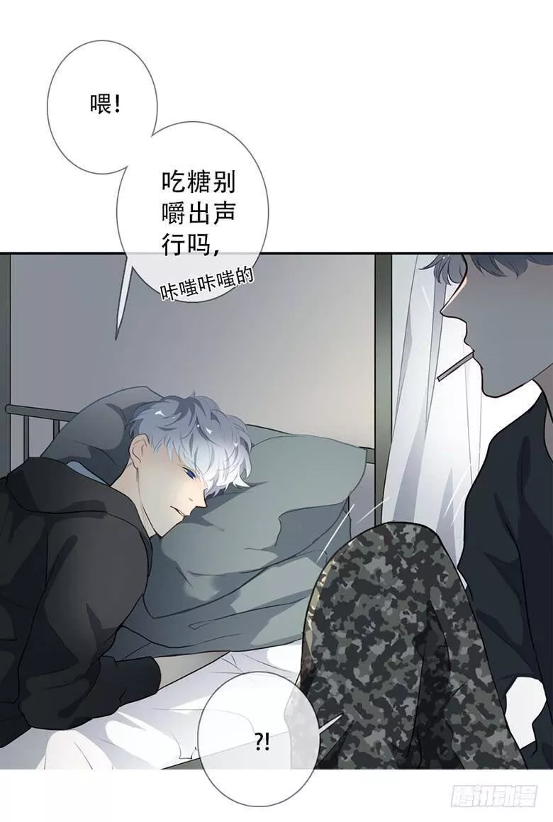 曲折的路漫画,特别篇：没有尾巴的兔子23图