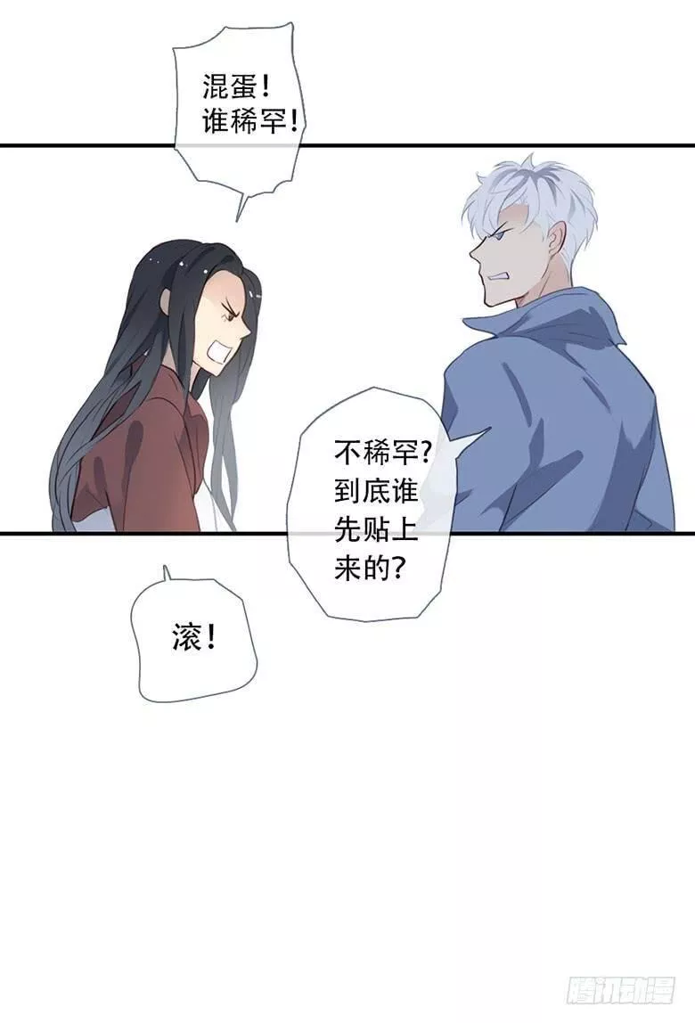 曲折的路漫画,特别篇：没有尾巴的兔子11图