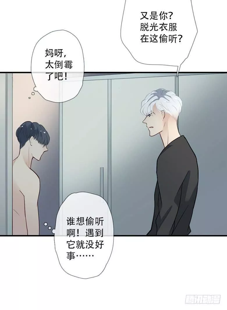 曲折的路漫画,特别篇：没有尾巴的兔子63图