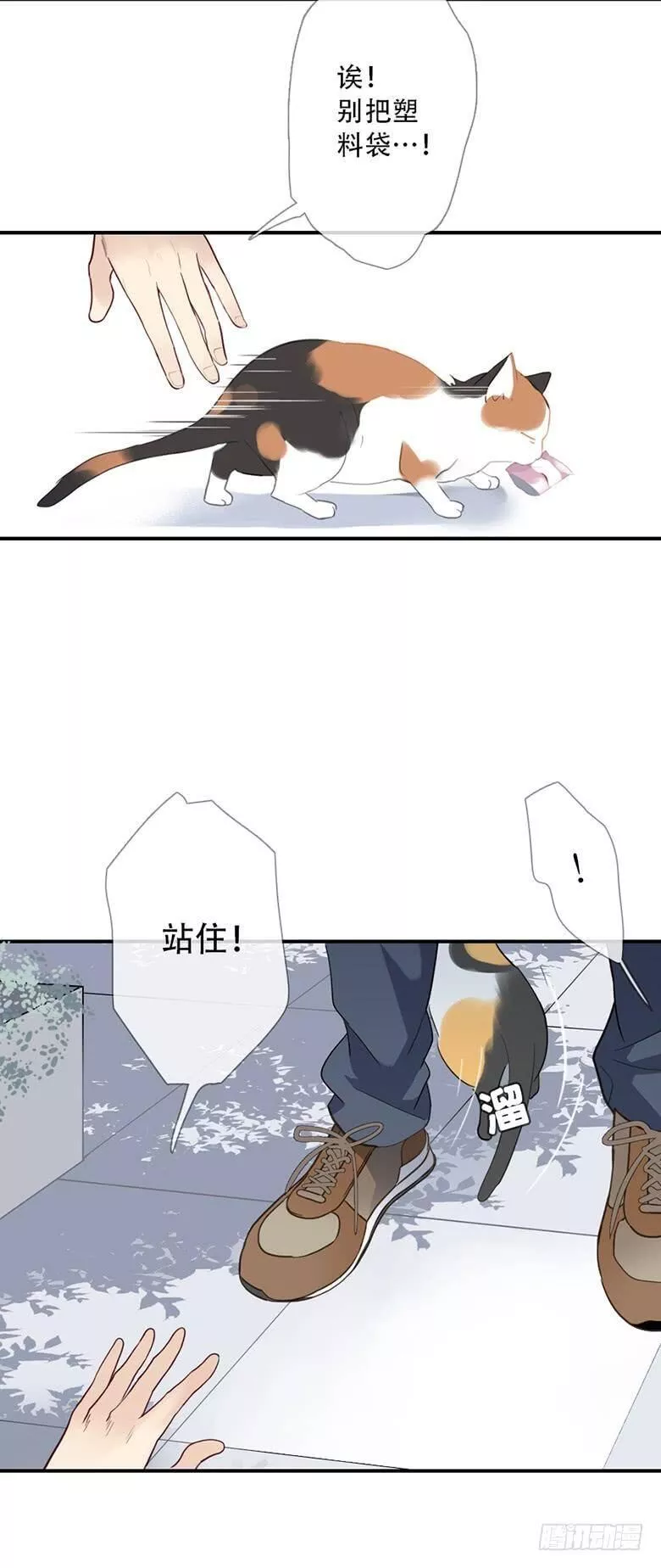 曲折的路漫画,特别篇：没有尾巴的兔子83图