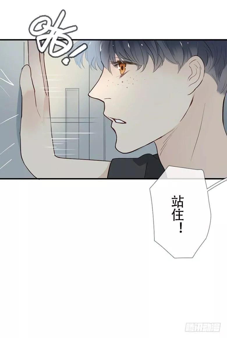 曲折的路漫画,特别篇：没有尾巴的兔子67图