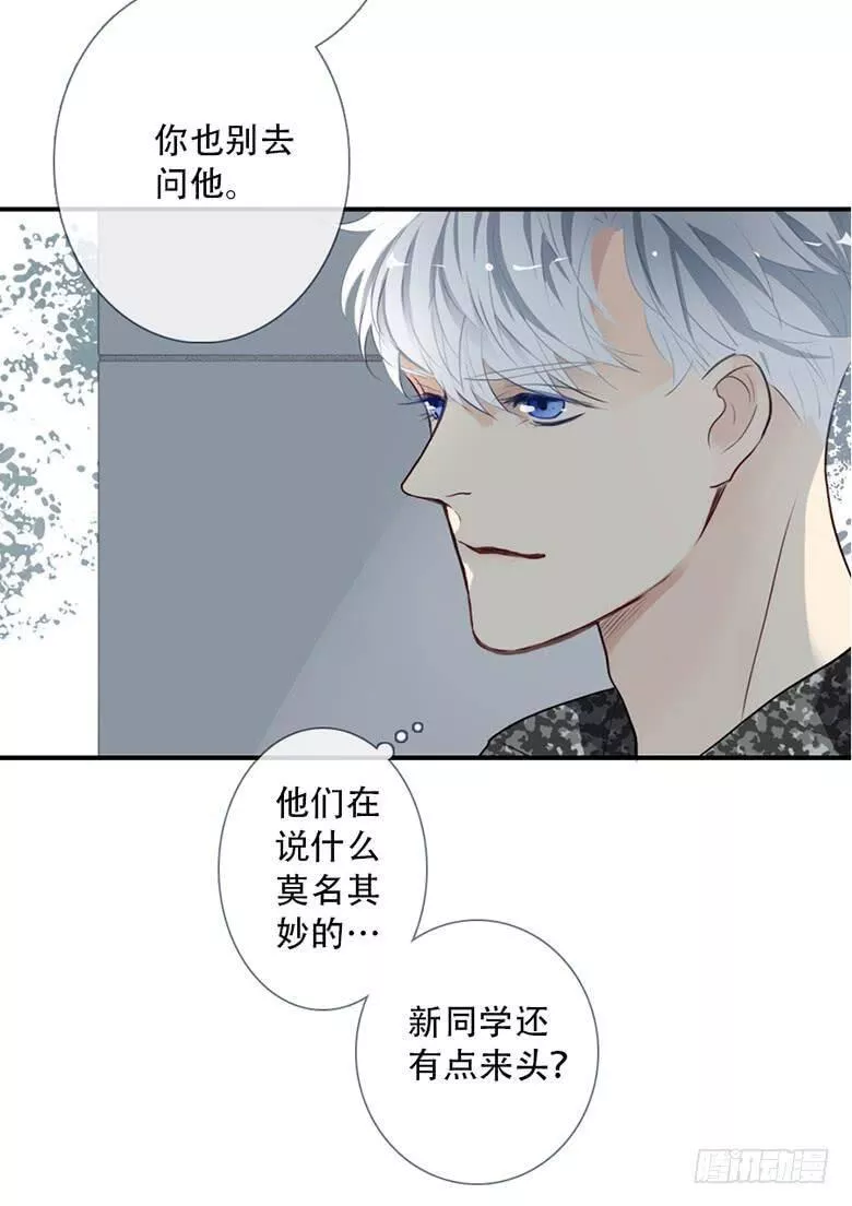 曲折的路漫画,特别篇：没有尾巴的兔子45图